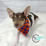 Plaid Florida Gators Dog Bandana