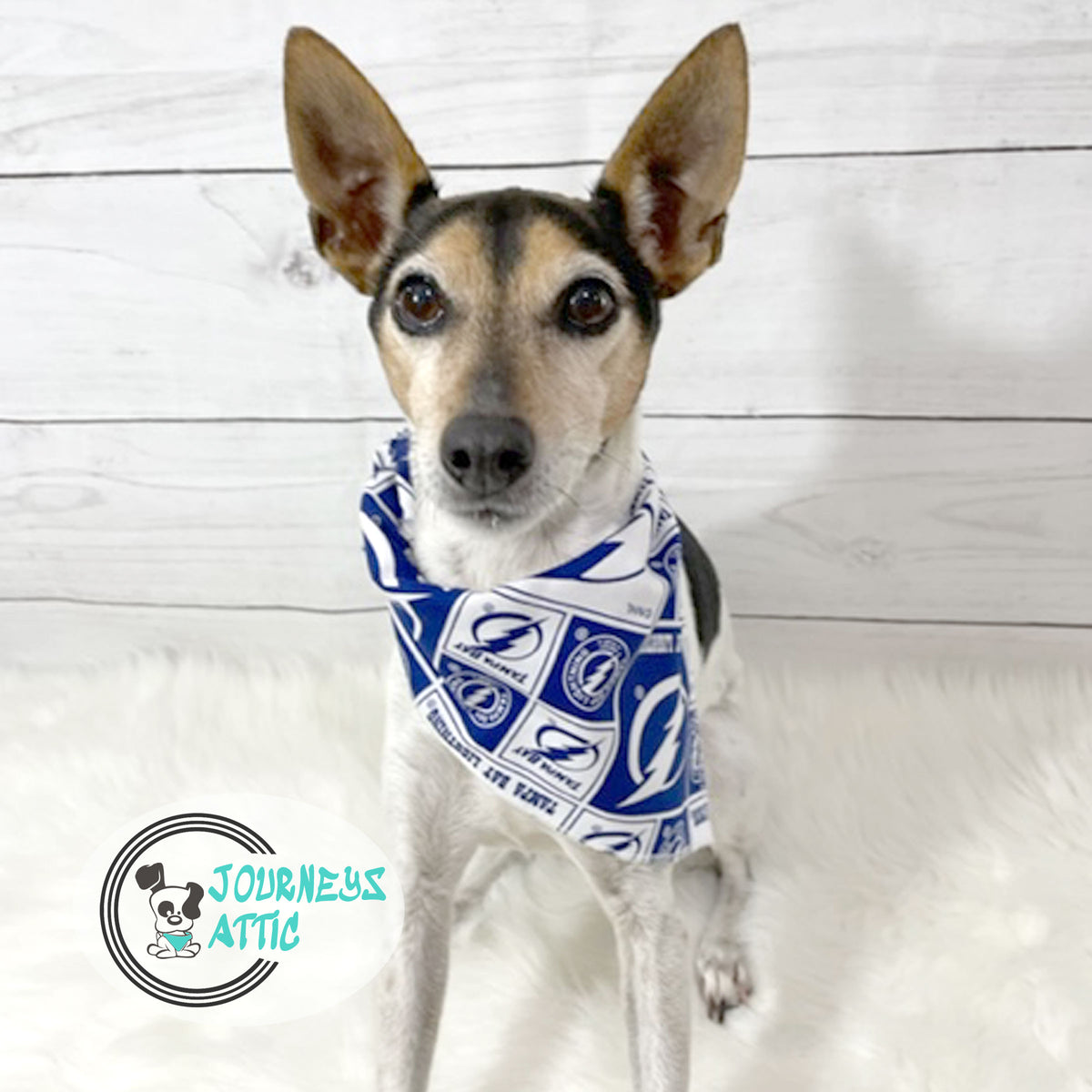 Tampa Bay Lightning Dog Bandana NHL Stanley Cup Tie On Dog Bandana