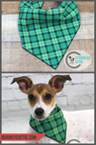 Green Plaid Dog Bandana