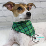 Green Plaid Dog Bandana