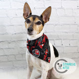 Tampa Bay Buccaneers Dog Bandana