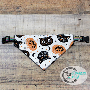 Halloween Dog Bandana