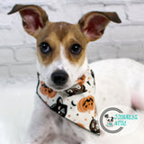 Halloween Dog Bandana