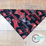 Tampa Bay Buccaneers Dog Bandana