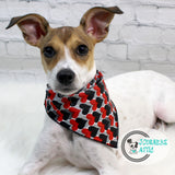 Valentines Day Hearts Dog Bandana