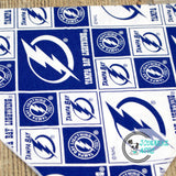 Tampa Bay Lightning Dog Bandana