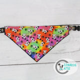 Rainbow Puppy Dog Bandana