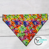 Rainbow Puppy Dog Bandana