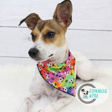 Rainbow Puppy Dog Bandana