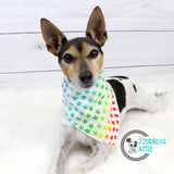 Rainbow Stars Dog Bandana