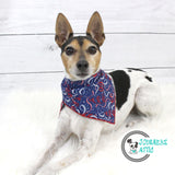 Fireworks Fourth of July Dog Bandana