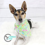 Dragonfly Spring Dog Bandana