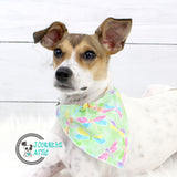 Dragonfly Spring Dog Bandana