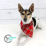 Red Christmas Plaid Dog Bandana