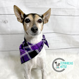 Halloween Purple Black Plaid Dog Bandana