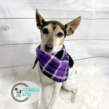 Halloween Purple Black Plaid Dog Bandana