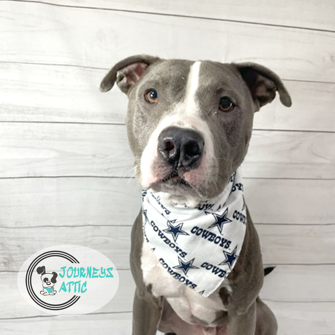 Dallas Cowboys / Dog Bandana / Over the Collar Cat Bandanna / 