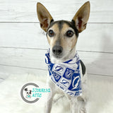 Tampa Bay Lightning Dog Bandana