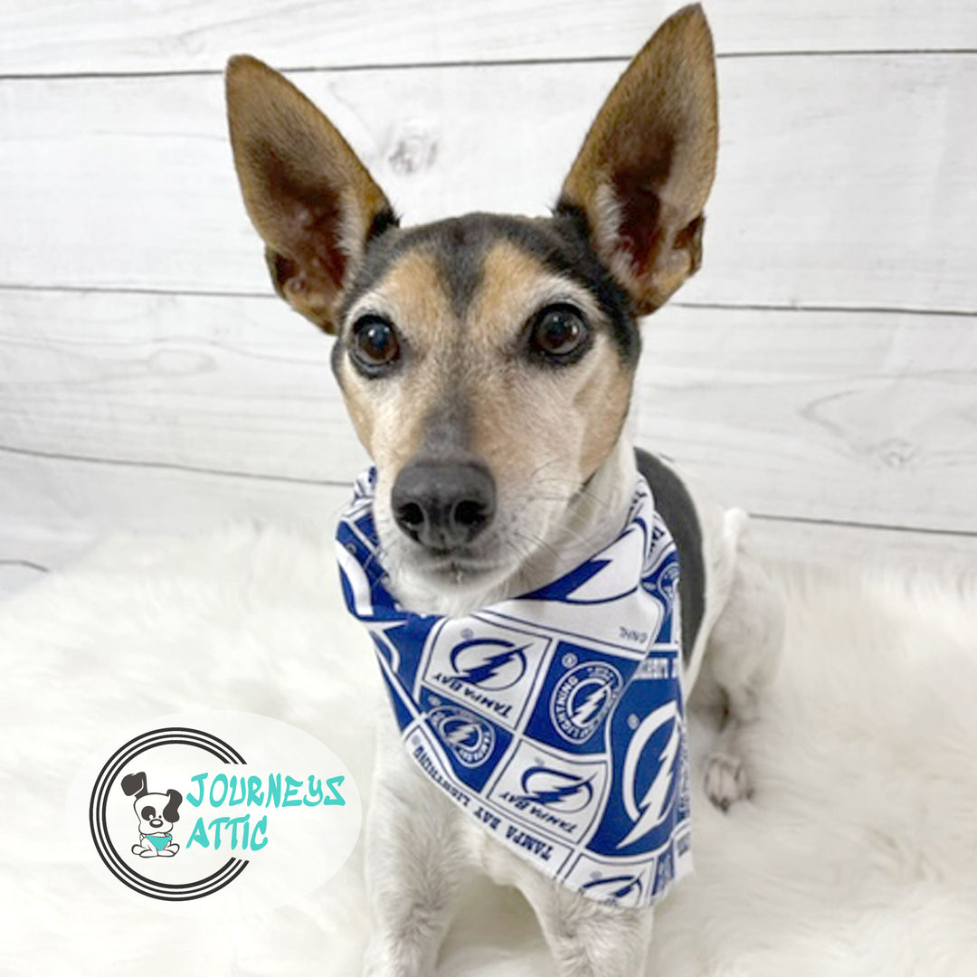 Tampa Bay Lightning Dog Bandana NHL Stanley Cup Tie On Dog Bandana