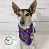 Minnesota Vikings Dog Bandana