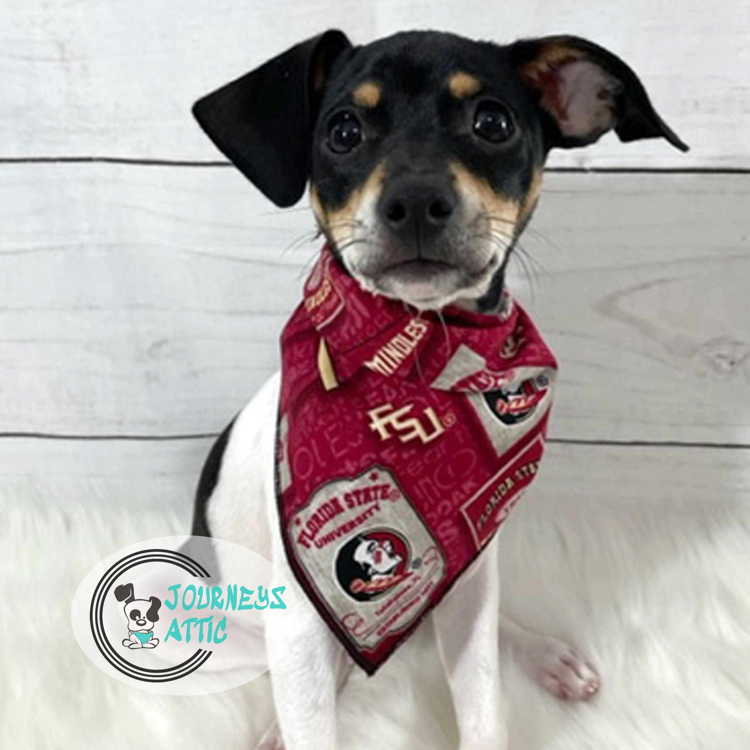 Fsu 2025 dog bandana