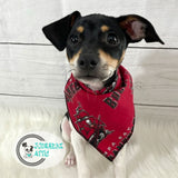 Tampa Bay Buccaneers Dog Bandana